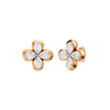 Amorati Classic Stud Earrings