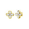 Amorati Classic Stud Earrings