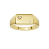 Meridian Signet Ring