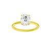 Provenance: Elongated Cushion, Plain, Hidden Halo