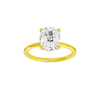 Provenance: Elongated Cushion, Plain, Hidden Halo