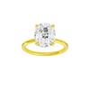 Provenance: Elongated Cushion, Plain, Hidden Halo