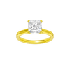 Provenance: Princess, Plain, Plain