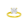 Provenance: Princess, Plain, Plain