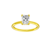 Provenance: Radiant, Plain, Hidden Halo