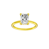 Provenance: Radiant, Plain, Hidden Halo