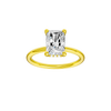 Provenance: Radiant, Plain, Hidden Halo