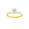 Alight: Elongated Cushion, Prong, Hidden Halo