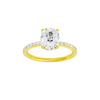 Alight: Elongated Cushion, Prong, Hidden Halo
