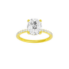 Alight: Elongated Cushion, Prong, Hidden Halo