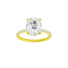Alight: Elongated Cushion, Prong, Hidden Halo