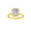Provenance: Radiant, Plain, Halo