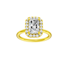 Provenance: Radiant, Plain, Halo
