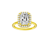 Provenance: Radiant, Plain, Halo
