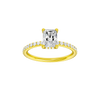 Alight: Radiant, Prong, Hidden Halo