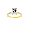 Alight: Radiant, Prong, Hidden Halo