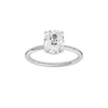 Provenance: Elongated Cushion, Plain, Hidden Halo