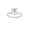 Provenance: Elongated Cushion, Plain, Hidden Halo