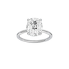 Provenance: Elongated Cushion, Plain, Hidden Halo