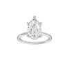 Provenance: Pear, Plain, Hidden Halo