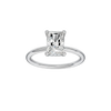 Provenance: Radiant, Plain, Hidden Halo