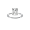 Provenance: Radiant, Plain, Hidden Halo