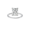Provenance: Radiant, Plain, Hidden Halo