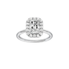Provenance: Radiant, Plain, Halo