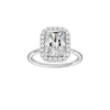 Provenance: Radiant, Plain, Halo