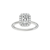 Provenance: Radiant, Plain, Halo