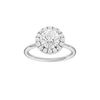 Provenance: Round, Plain, Halo