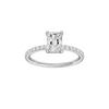 Alight: Radiant, Prong, Hidden Halo