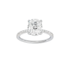 Alight: Elongated Cushion, Prong, Hidden Halo