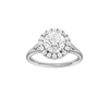 Solstice: Round, Plain, Halo