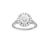 Solstice: Round, Plain, Halo
