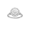 Solstice: Round, Plain, Halo