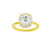 Provenance: Elongated Cushion, Plain, Halo