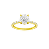 Alight: Round, Prong, Hidden Halo