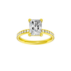 Alight: Radiant, Channel, Plain