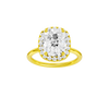 Provenance: Elongated Cushion, Plain, Halo
