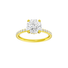 Alight: Round, Prong, Hidden Halo