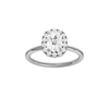 Provenance: Elongated Cushion, Plain, Halo