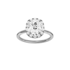 Provenance: Elongated Cushion, Plain, Halo