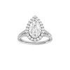 Solstice: Pear, Channel, Halo