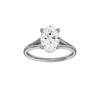 Solstice: Oval, Plain, Plain