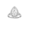 Solstice: Pear, Channel, Halo