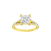 Solstice: Princess, Prong, Hidden Halo