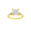 Solstice: Princess, Prong, Hidden Halo
