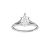 Solstice: Pear, Plain, Hidden Halo