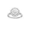 Solstice: Round, Prong, Halo